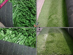 草国产,探寻自然与文化的交融之地